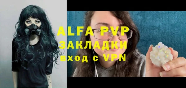 сатива Балахна