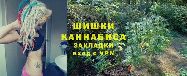 сатива Балахна