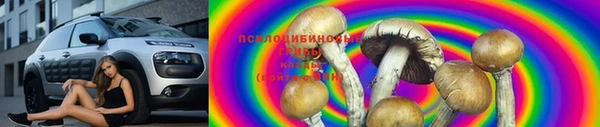 сатива Балахна