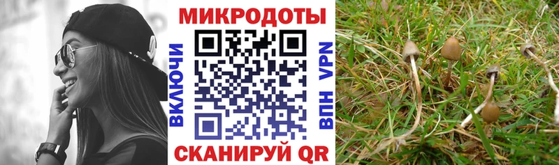 Псилоцибиновые грибы GOLDEN TEACHER  Суджа 